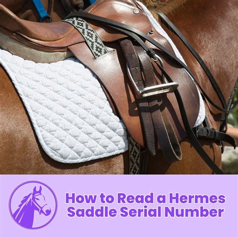 steinkraus Hermes saddle serial numbers